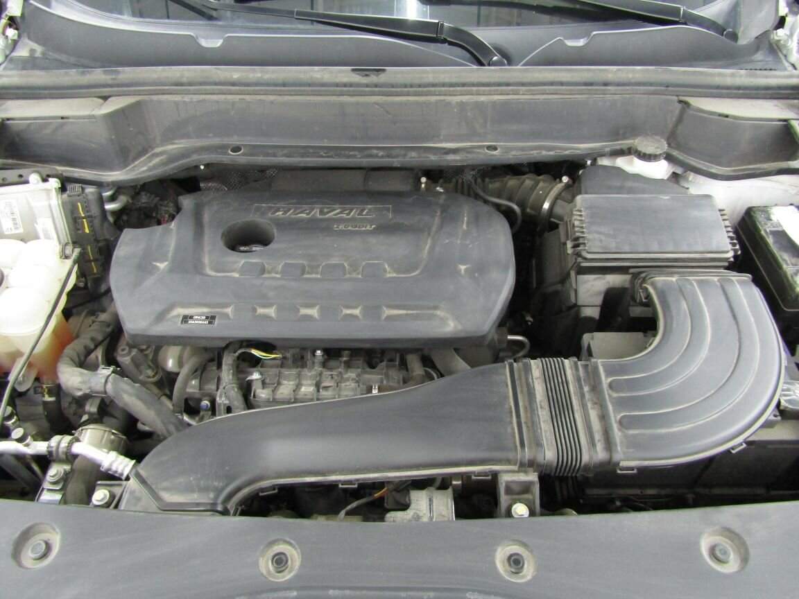 Haval F7, 2023 Фото №18