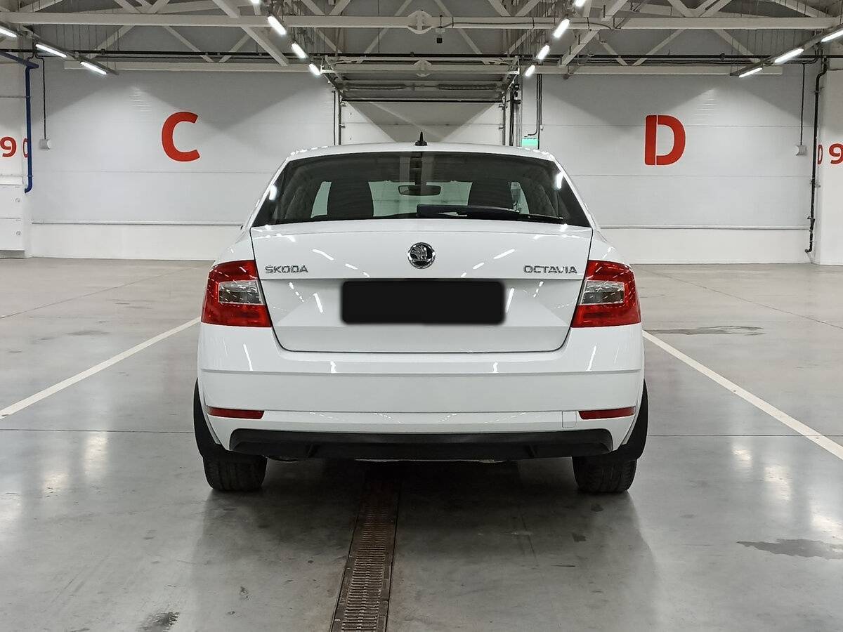 Skoda Octavia, 2019 Фото №6